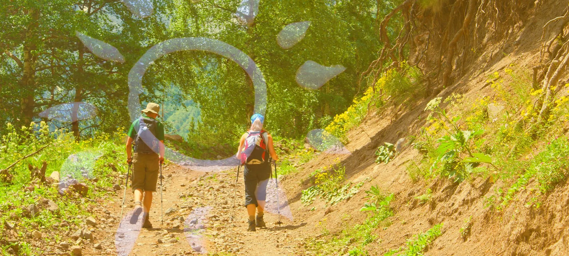 Bushwalkers+2000x900-ac414d1f-1920w